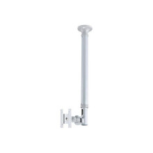 Ondersteuning plafond TV/Monitor NEWSTAR FPMA-C100SILVER - LCD-scherm 10"-30" - Zilver