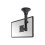Support plafond d'écrans plats - NEWSTAR - FPMA-C025BLACK - Inclinable - Pivotant - Noir 1