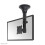 Support plafond d'écrans plats - NEWSTAR - FPMA-C025BLACK - Inclinable - Pivotant - Noir 3