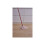 Vileda Vileda Dweil Dweil 7x1,6x4 cm Wit 157943 2