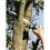 wolfcraft WOLFCRAFT 2 Lames pour scie égoïne BIM L210mm 4