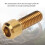 RISK 4 Stück MTB Bremsenschrauben M6x16mm Gold Titanium 5