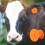100pcs Livestock Number Ear Tag Label Marker 2