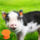 100pcs Livestock Number Ear Tag Label Marker 3