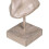 Dekorative Figur - BigBuy Home - Gesicht - Metall - Polyresin - Beige 6