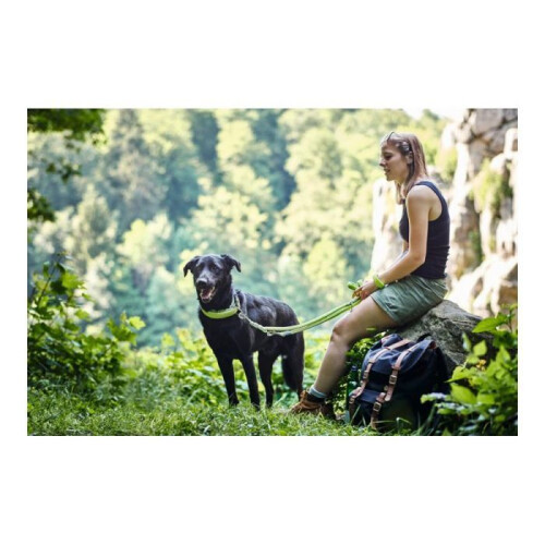 Hunter Leash - Hunter - Hilo - 200 cm - Turquoise - 3D Mesh - Reflective 2