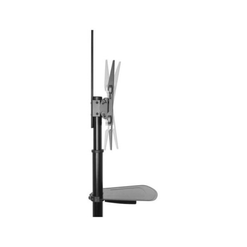 Suporte de TV - EWENT - EW1540 - 37-70 polegadas - Inclinação - 50 kg máx 2