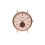 WATX-COLORS WATCHES Model () - WXCA1025 1