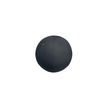 Seat Ball - Leitz - 65 cm - Dark Gray - Supports up to 120 kg - TÜV Anti-Tipping