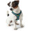 Hunter Harness - HUNTER - HILO - Turquoise - XXL - Breathable 3D Mesh 4