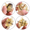 Kit de reparo de conjunto de capô e válvula de alívio 905-211 7