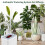 Automatic Watering System Smart Drip Irrigation Machine Waterer Programmable Water Timer Auto Watere 3