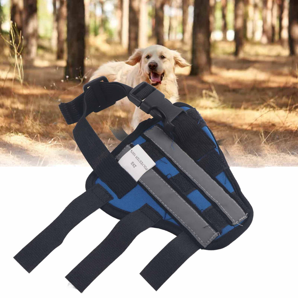 Neoprene Dog Leg Brace: Right Rear Hock Support with Reflective Strip