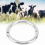 Stainless Steel Bull Cow Cattle Nose Ring 11