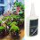 Aquascape Adhesive Professionl Quick Drying 11
