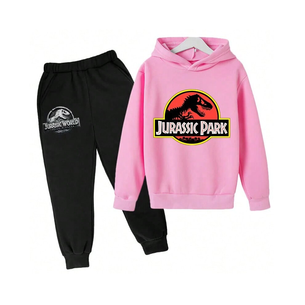 (8, 130) 2024 Boys Clothing Sets Jurassic World Tops +trousers 2pcs Set 3-14 Years Birthday Suit Boys Tracksuits Suits-image-OPC-PJN5RDJ-NEW