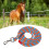Horse Leash Thickened Tug Resistant Nylon Horse 12