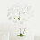 Decorative Oval Acrylic Mirror Wall Sticker Art 7