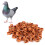 001‑100 Numbered Bird Leg Bands 8mm Poultry 9