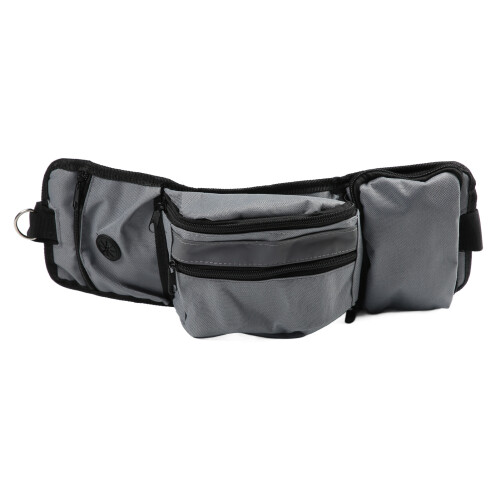 Dog Training Waist Bag Large Capacity Reflective 1