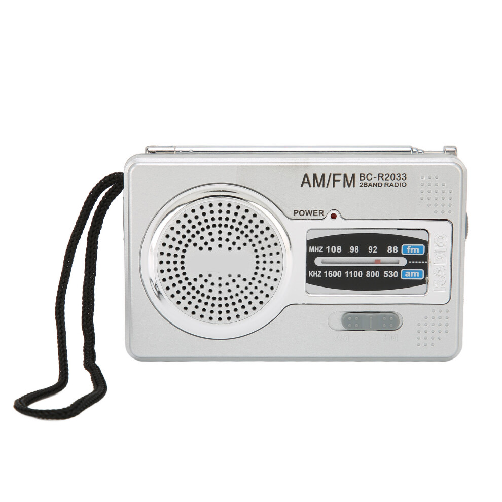 Portable Am Fm Radio Dsp Chip Pocket Size Loudspeaker Transistor Silver/Gray 3591341937508