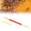 25Pcs Beekeeping Larvae Grafting Needle Bee Queen 11