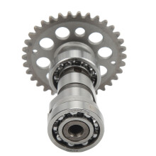 Nockenwelle Rennsport Hochleistung für GY6 125cc 150cc 4-Takt 152QMI 157QMJ Motoren A9