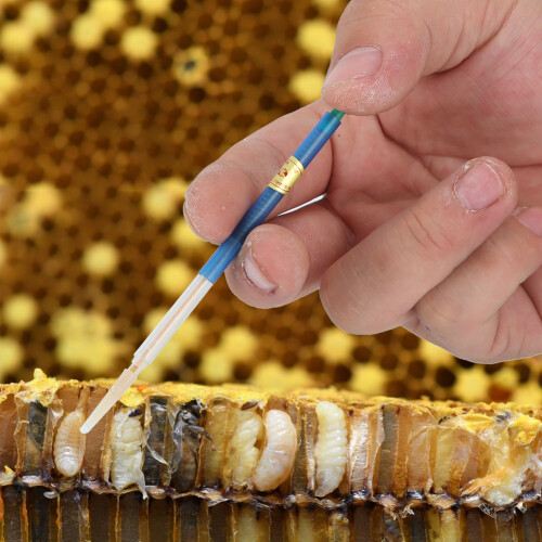 4pcs Plastic Beekeeping Honey Bee Larvae Grafting 2