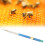 4pcs Plastic Beekeeping Honey Bee Larvae Grafting 2