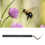 3Pcs Beekeeping Shift Pin Honey Bee Larva Moving 2