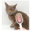 Pet Knots Remover Massage Rounded Teeth Multi 9