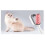 Pet Knots Remover Massage Rounded Teeth Multi 11