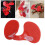 500Pcs Chicken Blinders Spectacles Anti Pecking 6