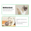 Catnip Wooden Ball Silvervine Stick Teeth Grinding 8