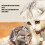 Catnip Wooden Ball Silvervine Stick Teeth Grinding 4