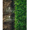 Grassias Fast Growing Grass Seed 1.7KG Premium Lawn Mix UK 7