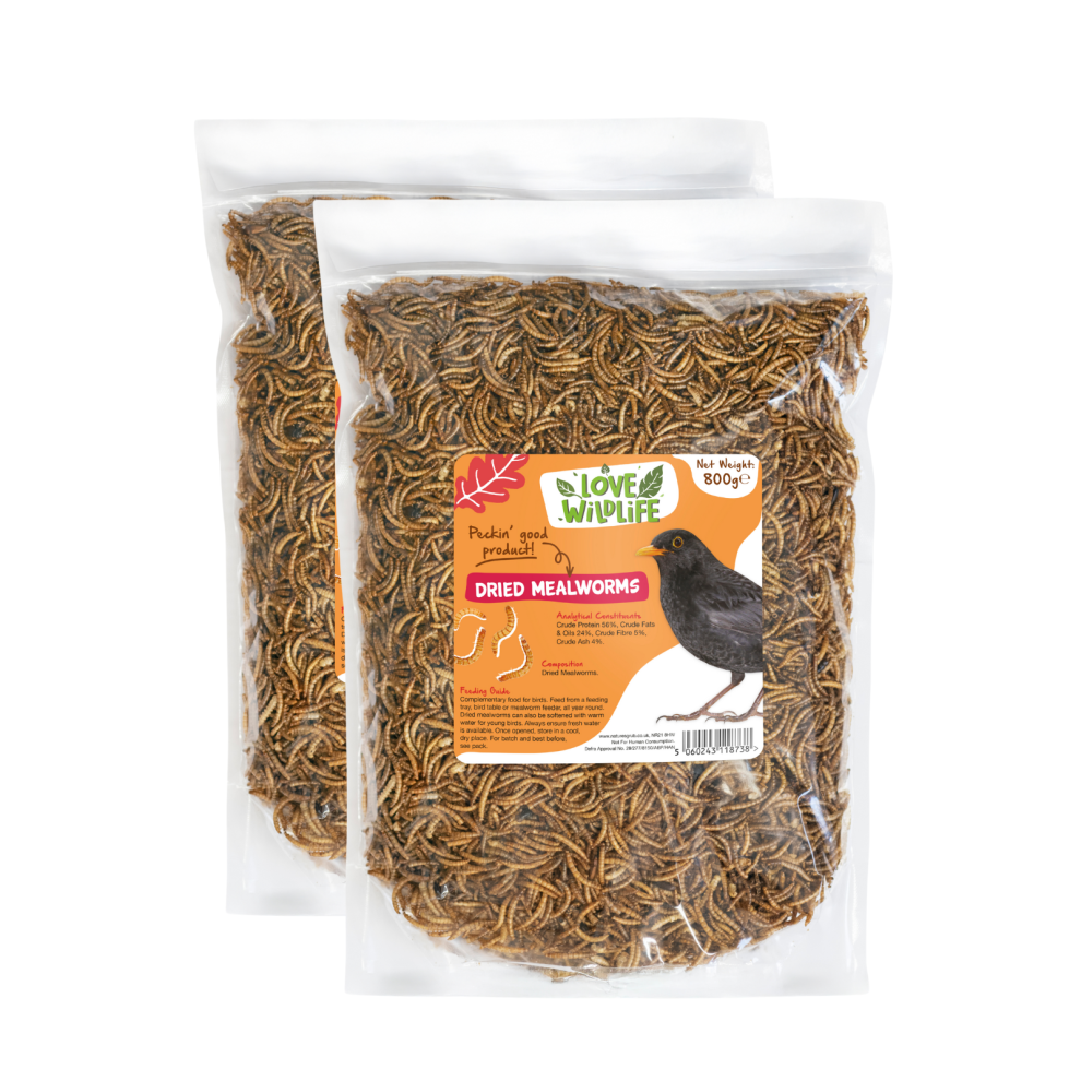 Love Wildlife (10Ltr Refill) Dried Mealworms | Wild Bird Food
