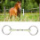 Horse Mouth Bit Stainless Steel Ring Middle Rubber 11