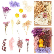 Echte, Trockenblumen Klein Mini, DIY Gemischte Getrocknete Blumen für Basteln, DIY Harz, Scrapbooking Handwerk, Karten Machen