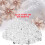 Transparent Acrylic Beads Wedding Party DIY 3