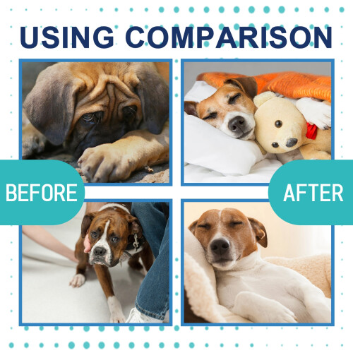 Dog Calming Pheromone Diffuser Refill Relieve Anxiety Stress Barking Chewing 2