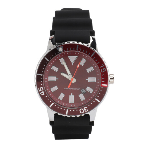 Rotating Bezel Watch Luminescent Automatic Date 1