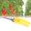 205mm Plant Pruning Scissors Garden Bonsai Flower 3