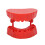 Zahnmodell-Prothese-Bohrerhalter, rot, 28 Bohrer 6