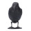 Simulation Plastic Crow Statue Hunting Bait Decoys 4
