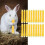 20pcs Pet Sweet Bamboo Sticks Teeth Grinding 12