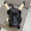 1 Pair Dog Ear Support Patch Dog Ears Stand 3