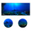 Adhesive Seaworld Background Poster for Aquarium 11