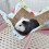 Small Animal Hammock Cooling Mat Summer Cooling 10