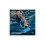 Ultimate Ears Draadloze draagbare luidspreker Ultimate Ears Everboom Bluetooth Blauw 5